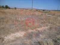 Konya Beyşehir Esence Kasabası Milli Emlak'tan Satılık 2.492,41 m2 Arsa