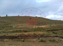 Kırıkkale Delice Kavakköy Köyü Milli Emlak'tan Satılık 500,00 m2 Tarla