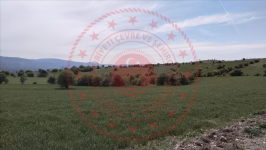 Çorum Merkez Üçköy Köyü Milli Emlak'tan Satılık 2.568,79 m2 Tarla