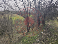 Karabük Merkez Kapaklı Köyü Milli Emlak'tan Satılık 2.915,59 m2 Tarla