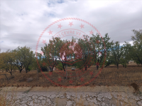 Konya Hüyük Yenice Köyü Milli Emlak'tan Satılık 1.160,40 m2 Tarla