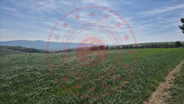 Çorum Merkez Turgut Köyü Milli Emlak'tan Satılık 6.600,64 m2 Tarla