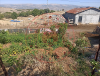 Bingöl Merkez Güveçli Köyü Milli Emlak'tan Satılık 229,96 m2 Tarla