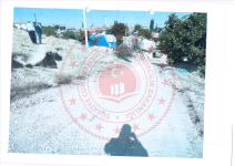 Afyonkarahisar Merkez Işıklar - Atatürk Mahallesi Milli Emlak'tan Satılık 222,45 m2 Arsa