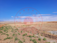 Kırşehir Akçakent Avanoğlu Köyü Milli Emlak'tan Satılık 4.531,60 m2 Tarla