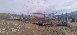 Afyonkarahisar Şuhut Güneytepe Köyü Milli Emlak'tan Satılık 348,13 m2 Tarla
