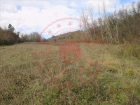 Samsun Bafra Dereler Köyü Milli Emlak'tan Satılık 3.031,90 m2 Tarla