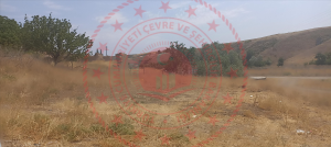 Kırıkkale Delice Halitli Köyü Milli Emlak'tan Satılık 435,43 m2 Tarla