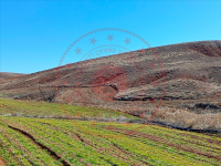 Nevşehir Gülşehir Yeşilöz Köyü Milli Emlak'tan Satılık 2.706,44 m2 Tarla