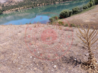 Erzincan İliç Kayacık Köyü Milli Emlak'tan Satılık 5.774,41 m2 Tarla