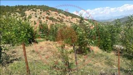 Gümüşhane Kelkit Eymür Köyü Milli Emlak'tan Satılık 134,39 m2 Tarla