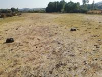 Bingöl Merkez Ekinyolu Köyü Milli Emlak'tan Satılık 2.684,98 m2 Tarla