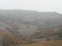 Amasya Suluova Boyalı Köyü Milli Emlak'tan Satılık 2.632,78 m2 Tarla