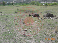 Erzurum Olur Merkez Milli Emlak'tan Satılık 11.321,40 m2 Tarla