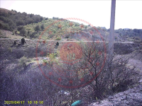 Balıkesir Ayvalık Karaayıt Köyü Milli Emlak'tan Satılık 3.922,53 m2 Tarla