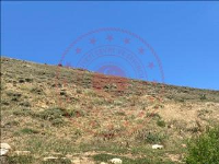 Gümüşhane Kelkit Deve Korusu Köyü Milli Emlak'tan Satılık 498,20 m2 Tarla