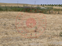 Van Tuşba Yaylıyaka Köyü Milli Emlak'tan Satılık 7.830,07 m2 Tarla