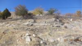 Kahramanmaraş Elbistan Kantarma Mahallesi Milli Emlak'tan Satılık 489,40 m2 Tarla