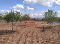 Kırıkkale Delice Karaköseli Köyü Milli Emlak'tan Satılık 2.193,00 m2 Tarla