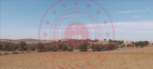 Uşak Eşme Saraycık Köyü Milli Emlak'tan Satılık 3.931,74 m2 Tarla