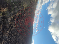 Ağrı Merkez Kumlugeçit Köyü Milli Emlak'tan Satılık 7.866,65 m2 Tarla