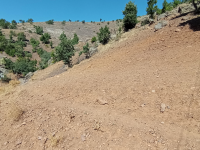 Malatya Hekimhan Dereköy Köyü Milli Emlak'tan Satılık 507,50 m2 Tarla