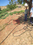 Bingöl Genç Yeniyazı Köyü Milli Emlak'tan Satılık 2.698,78 m2 Tarla