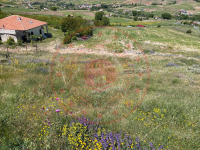 Kayseri Kocasinan Eyim Mahallesi Milli Emlak'tan Satılık 1.583,13 m2 Tarla