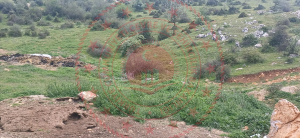 Balıkesir Kepsut Armutlu Köyü Milli Emlak'tan Satılık 314,71 m2 Tarla