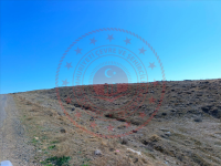 Nevşehir Gülşehir Yeşilöz Köyü Milli Emlak'tan Satılık 5.515,50 m2 Tarla