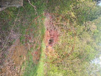 Çanakkale Yenice Akköy Köyü Milli Emlak'tan Satılık 14.613,81 m2 Tarla