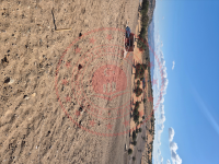 İzmir Bergama Çamtepe Köyü Milli Emlak'tan Satılık 2.424,47 m2 Tarla