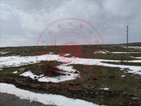 Sivas Yıldızeli Güneykaya - Yenicami  Milli Emlak'tan Satılık 480,53 m2 Arsa