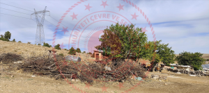 Konya Meram Çayırbağı Köyü Milli Emlak'tan Satılık 7.000,00 m2 Arsa