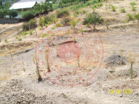 Konya Seydişehir Taraşçı Kasabası Milli Emlak'tan Satılık 462,01 m2 Arsa