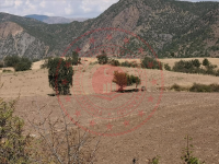 Çorum Laçin Kuyumcu Köyü Milli Emlak'tan Satılık 3.377,26 m2 Tarla