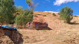 Erzincan Tercan Sağlıca Köyü Milli Emlak'tan Satılık 265,25 m2 Tarla