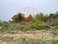 Zonguldak Ereğli Buruncuk Köyü Milli Emlak'tan Satılık 256,34 m2 Tarla