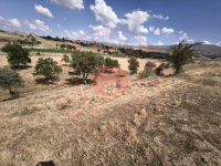 Kayseri Akkışla Ortaköy Mahallesi Milli Emlak'tan Satılık 2.954,32 m2 Tarla