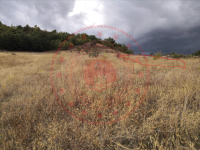 Çorum Laçin İkizce Köyü Milli Emlak'tan Satılık 1.034,48 m2 Tarla