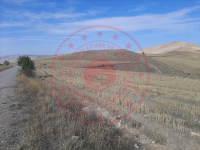 Sivas Merkez Himmetfakı Köyü Milli Emlak'tan Satılık 19.403,91 m2 Tarla