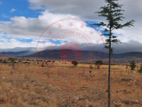 Konya Hüyük Köşk Kasabası Milli Emlak'tan Satılık 677,23 m2 Arsa