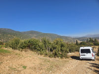 Burdur Merkez İlyas Köyü Milli Emlak'tan Satılık 1.203,37 m2 Tarla