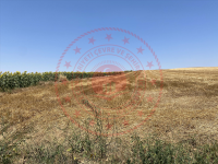 Edirne Uzunköprü Turnacı Köyü Milli Emlak'tan Satılık 3.023,62 m2 Tarla