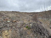 Ankara Çubuk Meşeli Mahallesi Milli Emlak'tan Satılık 2.575,00 m2 Tarla