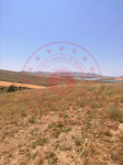 Kırşehir Merkez Karahıdır - Boğaziçi Mahallesi Milli Emlak'tan Satılık 704,00 m2 Arsa