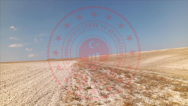 Nevşehir Kozaklı Merdanali Köyü Milli Emlak'tan Satılık 351,19 m2 Tarla