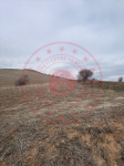 Sivas Suşehri Üzümlü Köyü Milli Emlak'tan Satılık 30.849,73 m2 Tarla