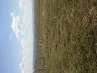 Ankara Bala Yaylalıözü Köyü Milli Emlak'tan Satılık 1.984,47 m2 Tarla