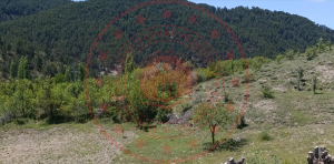 Çankırı Yapraklı Yukarıöz Köyü Milli Emlak'tan Satılık 281,46 m2 Arsa